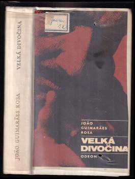 João Guimarães Rosa: Velká divočina