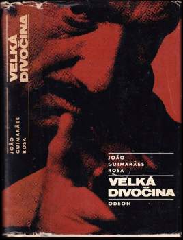 Velká divočina