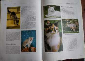 Esther Verhoef-Verhallen: Velká encyklopedie koček