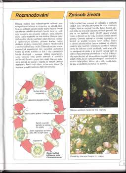 Linda Gamlin: Velká encyklopedie přírody