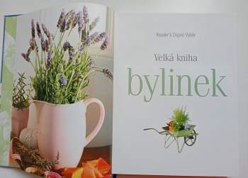 Velká kniha bylinek