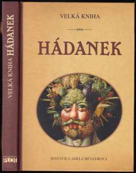 Velká kniha hádanek