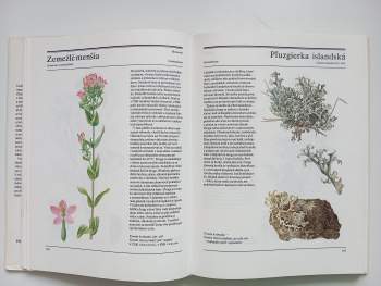 Jiří Stodola: Veľká kniha liečivých rastlín