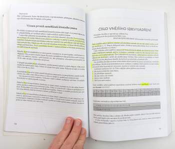 Editha Wüst: Velká kniha numerologie