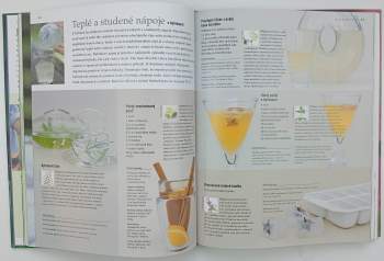Jekka McVicar: Velká kniha o bylinkách