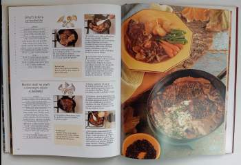 Geoffrey Kibby: Velká kniha o houbách