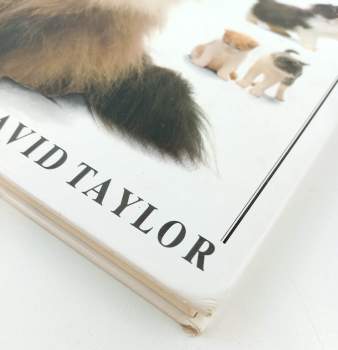 David Taylor: Velká kniha o kočkách