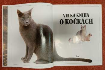 David Taylor: Velká kniha o kočkách