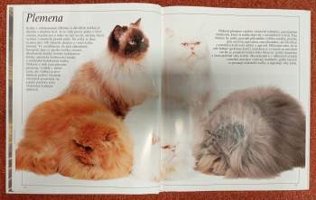 David Taylor: Velká kniha o kočkách