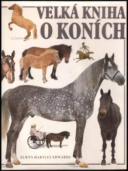 Velká kniha o koních