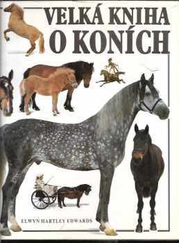 Velká kniha o koních