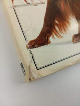 David Taylor: Velká kniha o psech