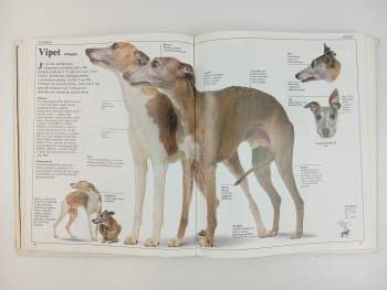 David Taylor: Velká kniha o psech