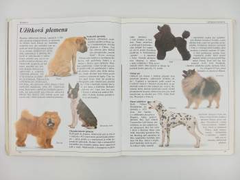 David Taylor: Velká kniha o psech