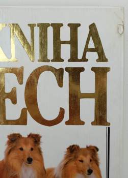 David Taylor: Velká kniha o psech