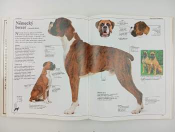 David Taylor: Velká kniha o psech