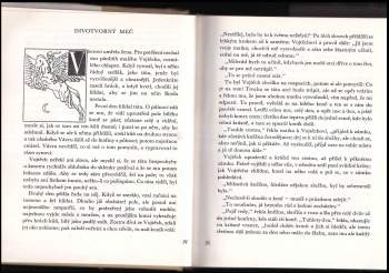 Božena Němcová: Velká kniha pohádek