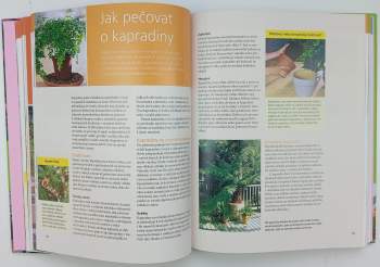 Bärbel Oftring: Velká kniha pokojových rostlin