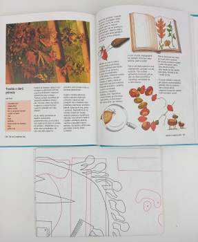 Inge Burkhardt: Velká kniha pro malé mistry 3