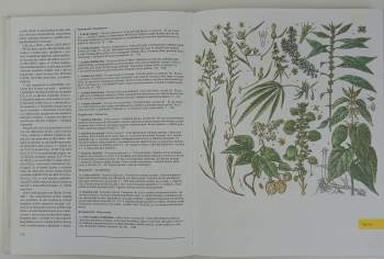 Jindřich Krejča: Velká kniha rostlin