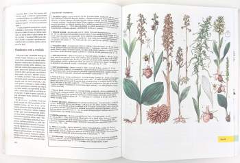 Jindřich Krejča: Velká kniha rostlin, hornin, minerálů a zkamenělin