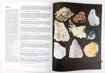 Jindřich Krejča: Velká kniha rostlin, hornin, minerálů a zkamenělin