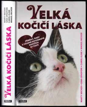 Velká kočičí láska
