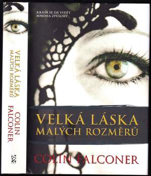 Colin Falconer: Velká láska malých rozměrů