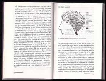Werner J Meinhold: Veľká príručka hypnózy