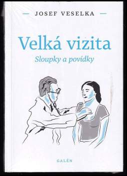 Velká vizita