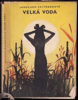 Velká voda