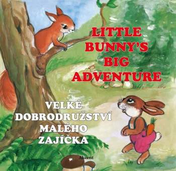 Little bunny's big adventure