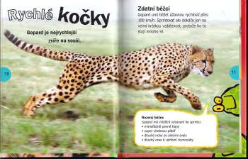 kolektiv: Velké kočky
