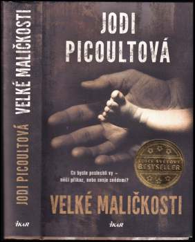 Jodi Picoult: Velké maličkosti