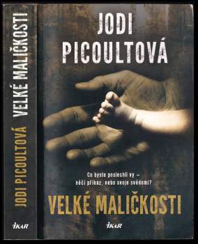 Jodi Picoult: Velké maličkosti