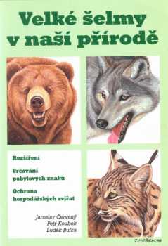 Velké šelmy v naší přírodě
