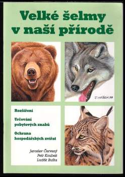 Velké šelmy v naší přírodě