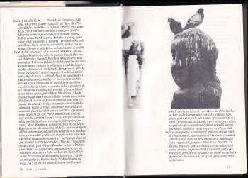 Guillaume Apollinaire: Velké trojhvězdí