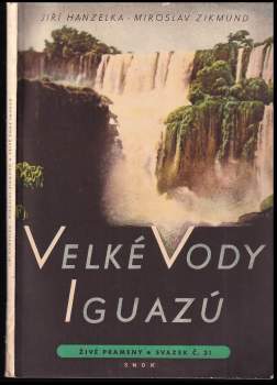 Velké vody Iguazú