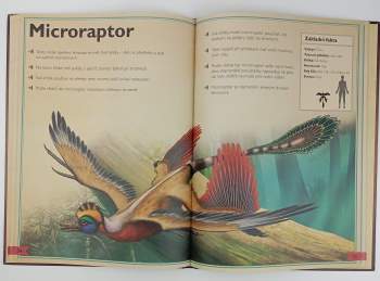 Tom Jackson: Velkolepá kniha o dinosaurech