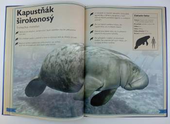 Tom Jackson: Velkolepá kniha o mořských tvorech