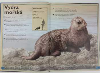 Tom Jackson: Velkolepá kniha o mořských tvorech