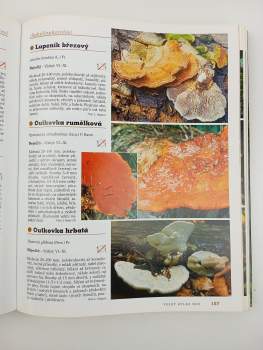 Vladimír Antonín: Velký atlas hub