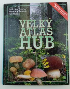 Velký atlas hub