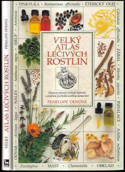 Velký atlas léčivých rostlin
