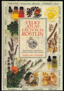 Penelope Ody: Velký atlas léčivých rostlin