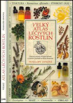 Penelope Ody: Velký atlas léčivých rostlin