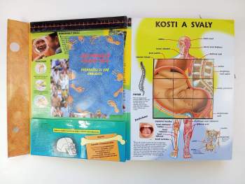 Velký atlas lidského těla s kostkami
