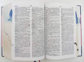 Marie Sádlíková: Velký česko-ruský slovník