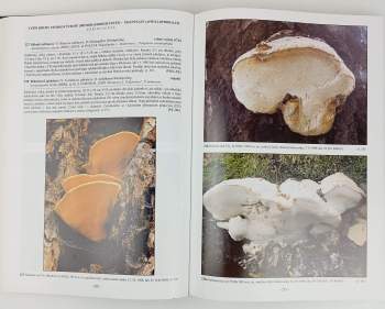 Miroslav Beran: Velký fotoatlas hub z jižních Čech
